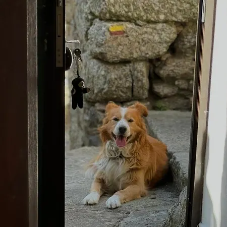 Raizes Da Serra - Casa Alvoco Ferienhaus Alvoco da Serra